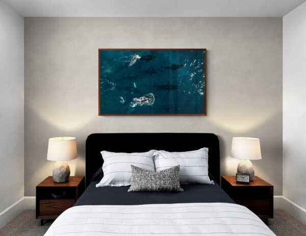 Blue Dolphins - Image 2